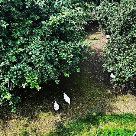 Apartman Kombi Deggenhausertal